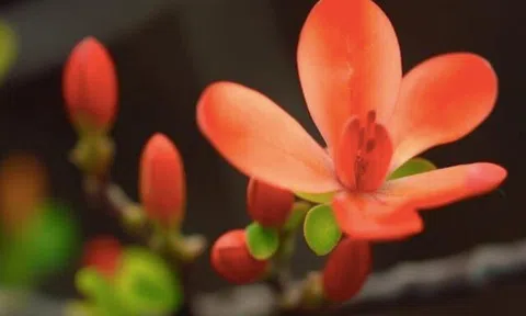 Những người không chịu nổi khi thấy bạn thành công không phải người ngoài mà là 4 kiểu người quen này