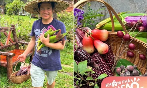 Khu vườn bội thu "khoác màu tím" đẹp mắt của ca sĩ Trọng Tấn tại biệt thự ngoại ô rộng 4.000m2 giữa đồi