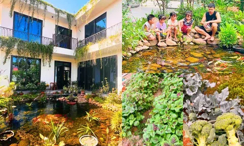 Nữ giáo viên rời Hà Nội về quê xây biệt thự vườn 600m², chi phí 4 tỷ, hồ cá trước nhà đẹp ngỡ ngàng