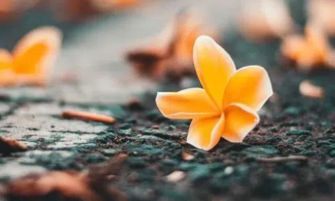 4 kiểu người dễ gặp quý nhân, được nâng đỡ trên đường đời