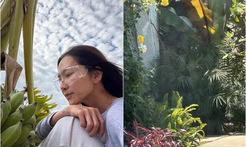 Khu vườn đầy hoa thơm trái ngọt của "em gái Tăng Thanh Hà" ở Mỹ, trân trọng buồng chuối giữa xứ người