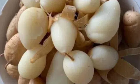 Món nhà nghèo xưa ăn đến chán ngán, nay thành đặc sản khoái khẩu ở thành phố giá 60.000 đ/kg, tốt cho sức khỏe