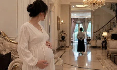 Bám lấy tình già U70 để được ở biệt thự 50 tỷ, tôi đang mang bầu vẫn đành huỷ hôn sau khi gặp giúp việc nhà anh