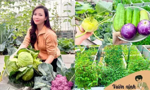 Mẹ đảm Bắc Ninh ban ngày làm nữ bác sĩ xinh đẹp, tối lên sân thượng làm nông dân, trồng khu vườn 50 triệu đẹp ngất ngây