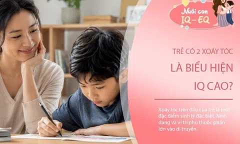 Sự thật về "tin đồn" trẻ có 2 xoáy tóc là biểu hiện của IQ cao