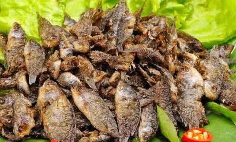 Đặc sản mỗi năm chỉ có một mùa, xưa dành cho "người nghèo" nay được ưa chuộng ở thành phố giá 120.000 đ/kg, tốt cho sức khỏe