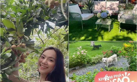 Cô gái "chân dài như Hà Hồ, hát như Mỹ Tâm" khoe vườn rộng đẹp thênh thang làm nhiều người mơ ước, trái trĩu cành