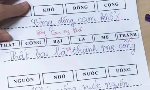 Cô giáo giao bài tập tiếng Việt hè sắp xếp thành ngữ, đáp án học sinh đưa ra khiến CĐM đọc mà cười đỏ mặt