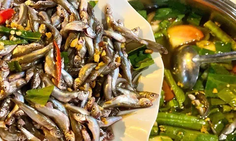 Đặc sản mỗi năm chỉ có một mùa, xưa dành cho "người nghèo" nay được ưa chuộng ở thành phố giá 450.000 đ/kg, tốt cho sức khỏe