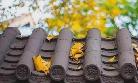 3 điều bạn càng biết "hào phóng", cuộc đời sẽ càng có phúc