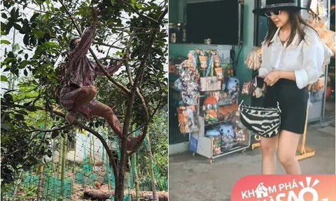 Không nhận ra "Kiều nữ làng hài" khi về quê oanh tạc vườn của mẹ và ngôi nhà giản dị gia đình cô đang sống