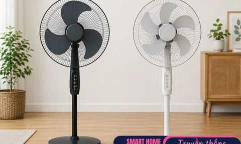 Quạt 3 cánh và quạt 5 cánh cái nào mát, tiết kiệm điện hơn? Thiết bị thay thế này có nhiều ưu điểm vượt trội hơn