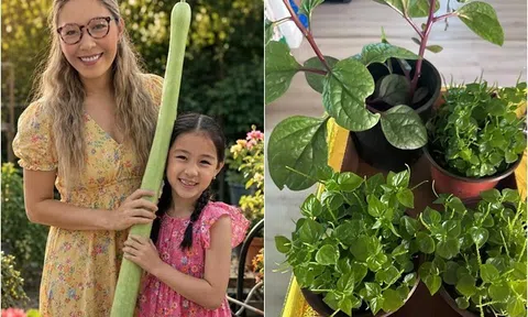 Vợ Đức Tiến và thú vui tuổi hưu sớm: Trồng thứ ở Việt Nam mọc đầy như cỏ dại nhưng sang Mỹ thành "của hiếm"
