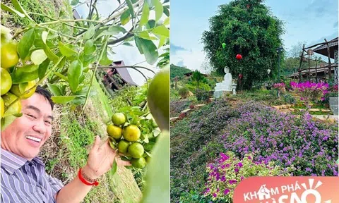 Biệt phủ 10.000m2 của nam diễn viên hài nổi tiếng showbiz ngập tràn đủ loại cây trái, gia chủ chỉ muốn về dưỡng già