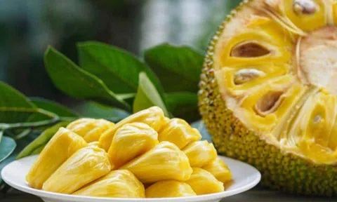 Mua mít dính quả chưa chín, cho thìa này vào trong quả, chỉ 3 ngày là thơm phức tha hồ ăn