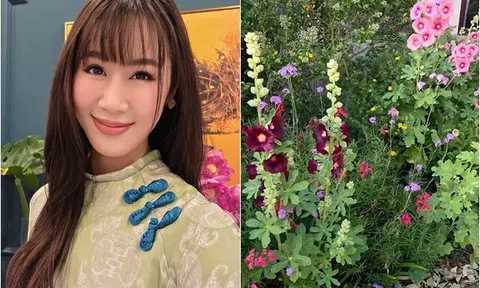 Khu vườn nở rộ tuyệt đẹp của Hoa hậu Dương Thùy Linh cảm giác như hoa tràn vào cửa, táo rụng đầy sân