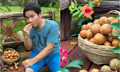 Ca sĩ Trọng Tấn thu hoạch ở biệt thự nhà vườn trước ngày mưa: Loại quả chua giòn mà ngon mát, ai nhìn cũng mê