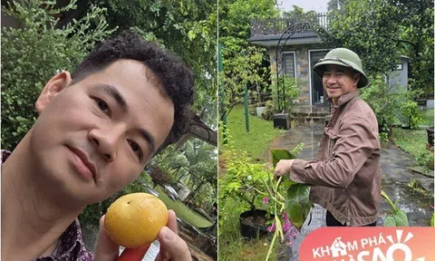 NSND Xuân Bắc ở nhà vườn rộng rãi: Khoe loại quả tuổi thơ của bao người, trời mưa vẫn "cố chấp" ra vườn dọn hoa