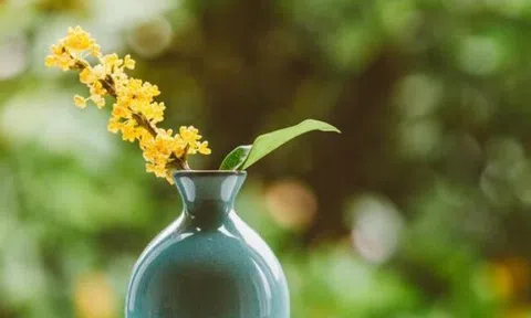 Phụ nữ thích tự làm 3 điều này cho chính mình không hề đơn giản, thực sự rất bản lĩnh