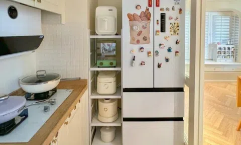 Dùng tủ lạnh 2 cánh suốt 3 năm, tôi quyết định đổi sang tủ lạnh kiểu Pháp vì 4 lý do khó chối từ