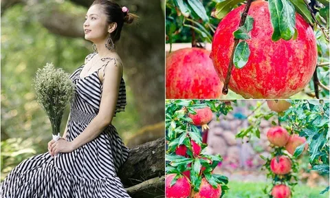 Khu vườn của diễn viên Diệu Hương ở Mỹ có "hoa hậu" ngắm hoài không chán, chủ nhân mê mẩn: "Sao đẹp quá!"