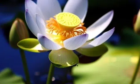 3 kiểu "người tốt" này còn đáng sợ hơn cả kẻ xấu