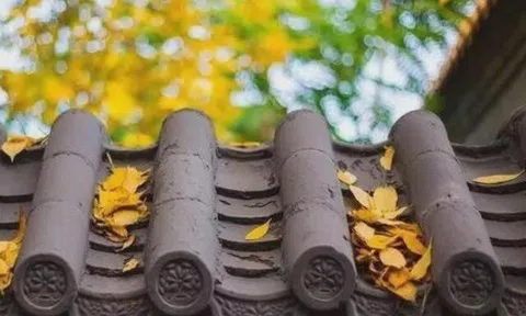 Để người khác không bao giờ dám bắt nạt bạn, chỉ cần nhớ kỹ 4 chữ này