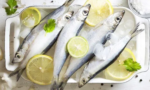 Loại cá tốt trên thế giới, ở Việt Nam vào mùa bán đầy chợ giá chỉ từ 70.000 đ/kg, giàu dưỡng chất hơn cá hồi