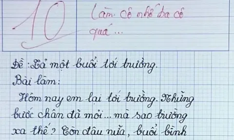 Bài văn tả một buổi sáng đến trường của học sinh đạt điểm 10 tuyệt đối, lời phê của cô giáo gây xúc động