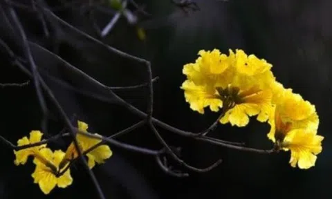 Người làm 3 điều này với bạn vốn không đơn giản, có ý đồ giấu rất sâu