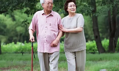 Về già, cuộc sống của người có và người không có bạn đồng hành khác biệt rõ rệt, bảo sao không nên sống một mình