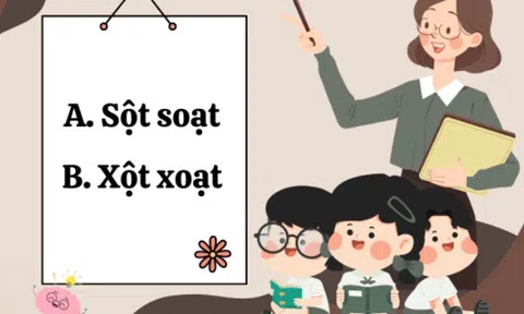 Xột xoạt hay sột soạt mới là từ đúng chính tả? 10 người hết 9 người trả lời sai
