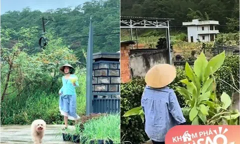 Nữ diễn viên Việt xinh như hoa về quê làm vườn lấm lem không nhận ra, sống trong khu đất 3.000m2 giữa Đà Lạt