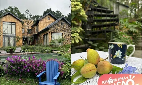 "Vua nhạc đỏ Việt Nam" có biệt thự 4.000m2 rộng thênh thang ở Sóc Sơn, từ vườn đến trong nhà đẹp như cổ tích