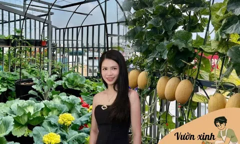 Mẹ 2 con TP.HCM chi hơn 50 triệu biến sân thượng 80m² thành vườn rau xanh mướt, dưa treo lúc lỉu nhìn cực đã mắt