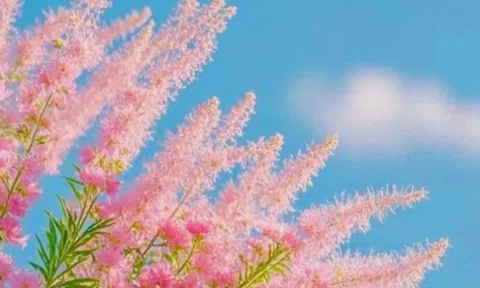 Cách tốt nhất để mang lại sự thịnh vượng cho gia đình gói gọn trong 2 từ