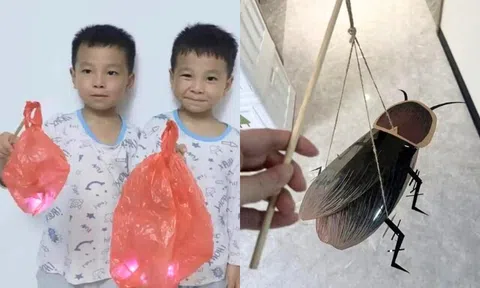 Trường tổ chức thi làm lồng đèn Trung thu, loạt “siêu phẩm” của phụ huynh và học sinh khiến dân mạng cười bò