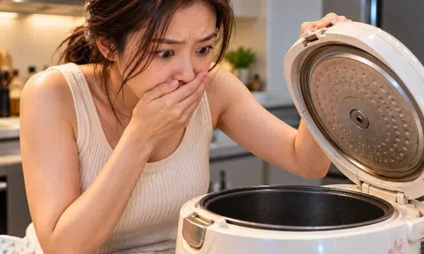 Chồng cũ lấy sạch đồ đạc sau ly hôn, chỉ bỏ lại chiếc nồi cơm điện cũ, mở nồi ra mà tôi sững sờ
