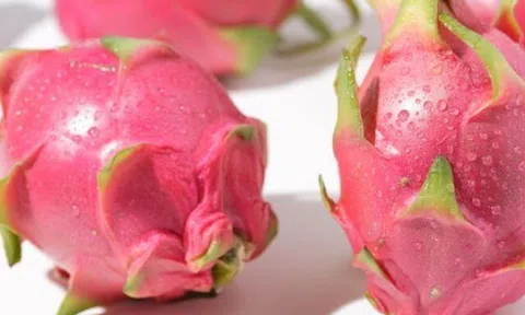 Mua thanh long nên chọn quả tròn hay dài thì ngọt, người trồng mách điều này đảm bảo quả ngọt lịm, ăn sướng mê