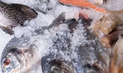 Rã đông cá đừng cho trực tiếp vào nước, thử 2 kỹ thuật này, cá nhanh mềm lại giữ vị tươi ngon