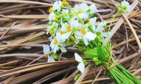Phụ nữ càng sang trọng, thanh lịch, càng thích nói 3 câu này