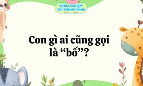 Con gì ai cũng gọi là bố?