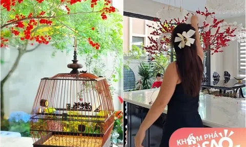 Thú vui thanh cảnh, đầy tao nhã của vợ chồng diễn viên Mạnh Trường trong biệt thự mới đẹp lung linh ở Hưng Yên