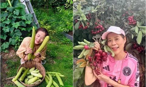 Nữ ca sĩ là Phó Chủ tịch tập đoàn đội nón ra vườn trời mưa: Khu vườn rộng trái tua tủa, lớn không kịp hái