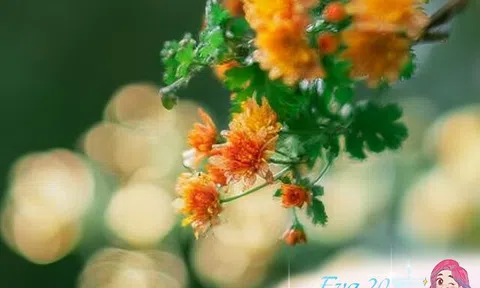 Phụ nữ có 4 thói quen này thường không đơn giản, rất tự tin và thanh lịch bất chấp tuổi tác