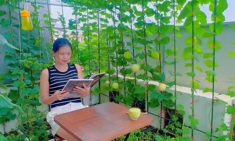 Mẹ đảm Hải Phòng chi 40 triệu làm vườn rau 32m2 trên tầng 6: Rau xanh ăn quanh năm không hết, dưa treo lúc lỉu đã mắt