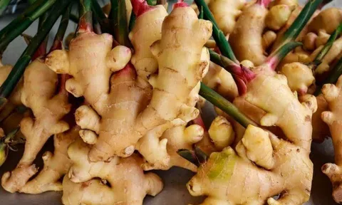 Gừng mua về rất dễ bị thối, teo, ngâm ngay vào thứ nước rẻ tiền này, để cả năm vẫn tươi ngon cay thơm