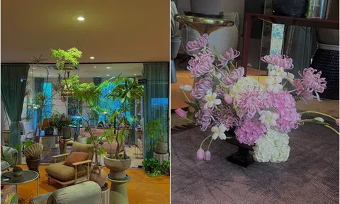 Cháu trai gia tộc giàu có bậc nhất Việt Nam mang nhiều cây và hoa vào cơ ngơi sang trọng để "bớt lên cơn giận"