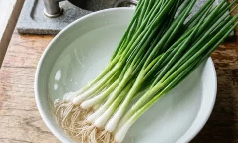 Mua hành lá về vài hôm là hỏng, nhúng nó vào nước rẻ tiền này rồi cất, hành để cả tháng vẫn tươi nguyên