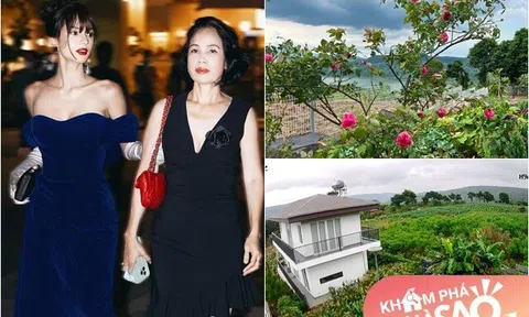Bỏ phố về rừng, mẹ Á hậu 2 Miss Universe Vietnam tậu vườn 1.000m² ở Lâm Đồng: Nhìn thành quả ai cũng phải trầm trồ!